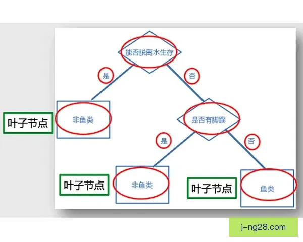 杯赛背景下强队轮换策略风险评估与实战应对研究综合分析与决策模型构建 杯赛背景下强队轮换策略风险评估与实战应对研究综合分析与决策模型构建
